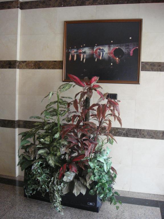 Hostal Serpol Palencia Esterno foto
